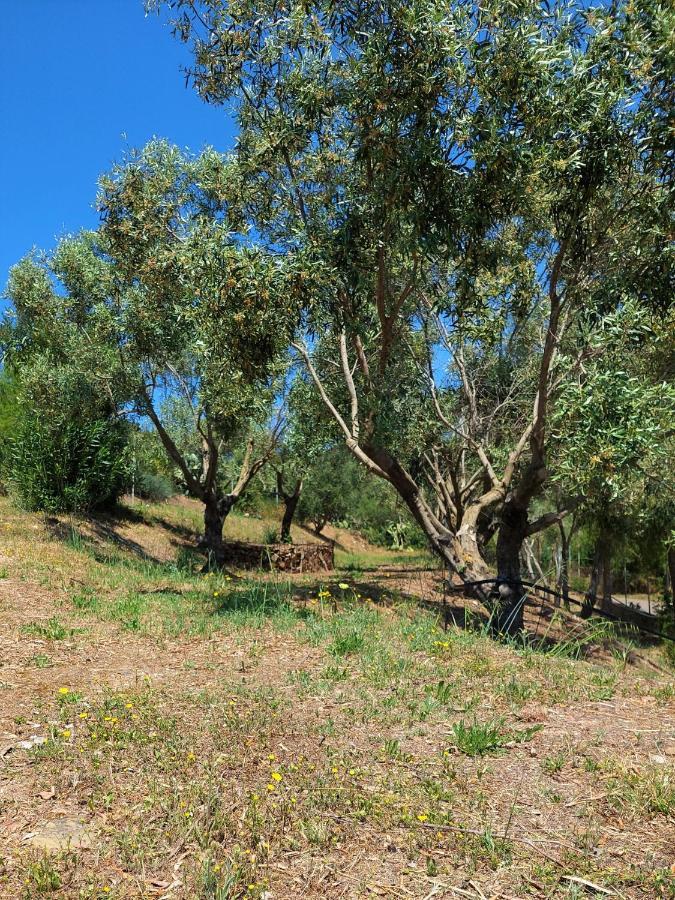 Casa Mama Villa Portixeddu Dış mekan fotoğraf